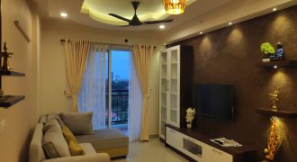2 BHK DLF FULLY FURNISHED LUXURY FLAT FOR SALE